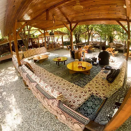 Saban Tree Houses